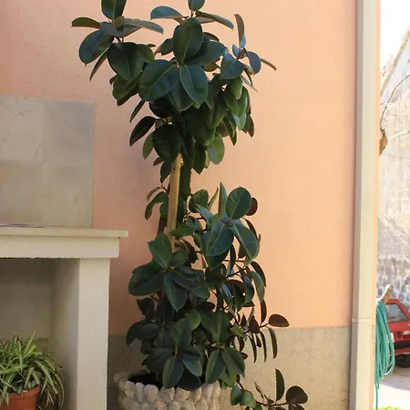 Pisak 7521c Appartement